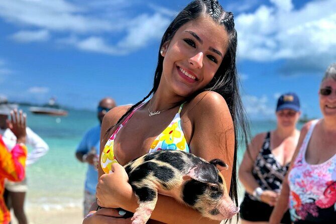 Nassau Swimming Pigs: Snorkeling, Lunch & Private Beach Club - Key Points