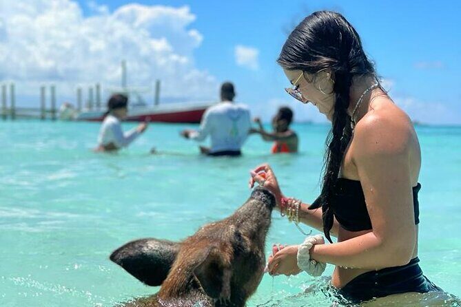 Nassau Swimming Pigs: Snorkeling, Lunch & Private Beach Club - The Value and Who Should Consider This Tour