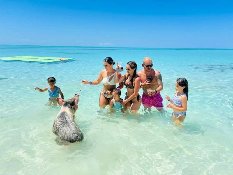 Nassau: Swimming Pigs, Turtles, Snorkel & More - Key Points