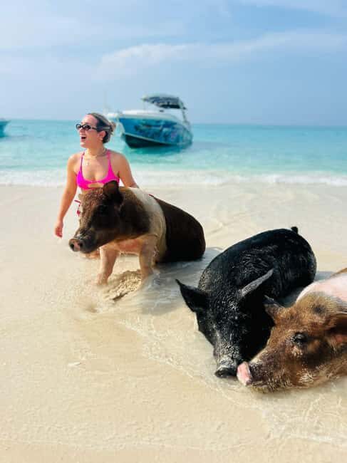 Nassau: Swimming Pigs, Turtles, Snorkel & More - FAQ