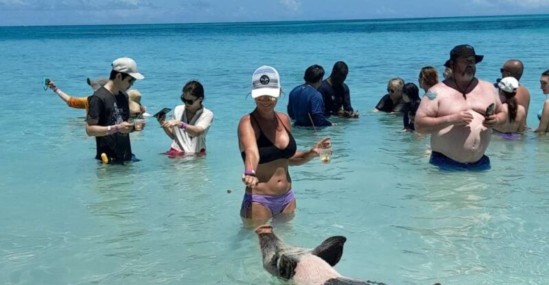 Nassau: Swimming With Pigs, Snorkeling, and Sightseeing Tour - Inclusions and Exclusions