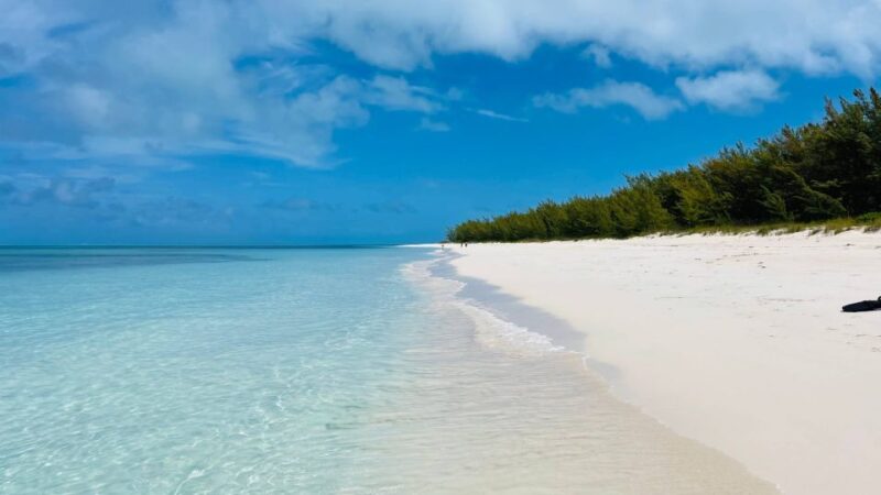 Nassau: Swimming With Pigs, Snorkeling, and Sightseeing Tour - Recommendations and What to Bring