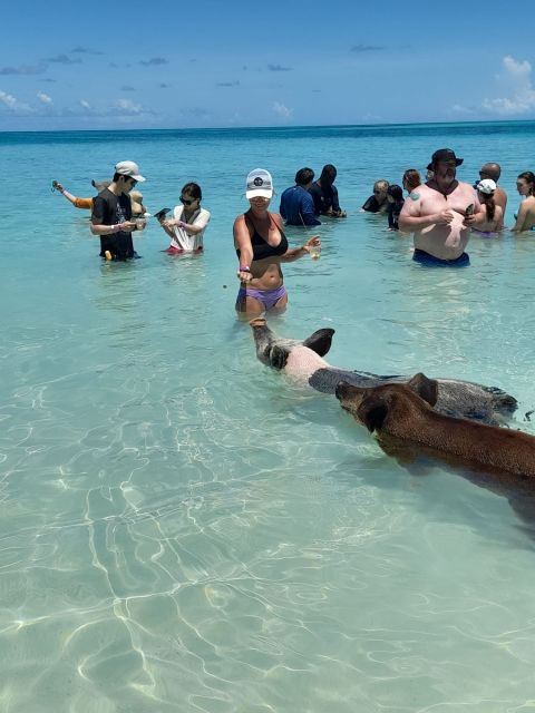 Nassau: Swimming With Pigs, Snorkeling, and Sightseeing Tour - Customer Reviews and Experiences