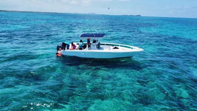 Nassau: Swimming With Pigs, Snorkeling, and Sightseeing Tour - Frequently Asked Questions