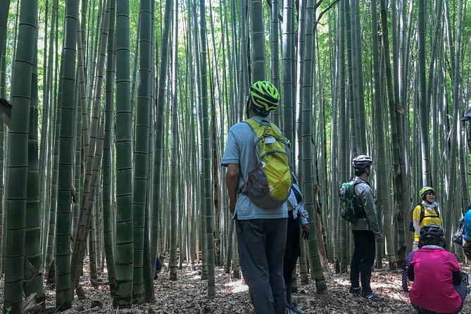 NASU SATOYAMA Farm Ride - Cycling Through Rice Fields