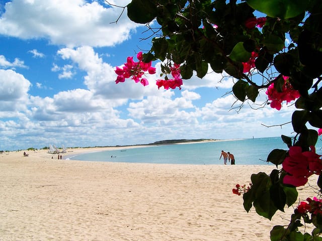 Natal: Galinhos Beach and Salt Flats Full-Day Tour - Frequently Asked Questions