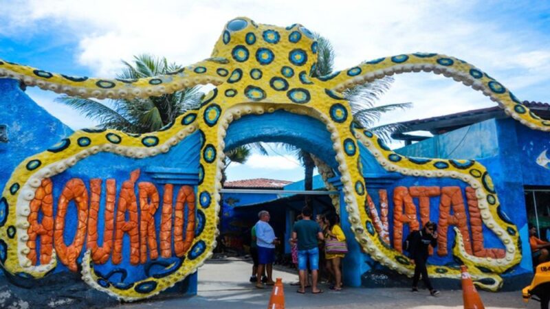 Natal: Genipabu Day Trip - Key Points