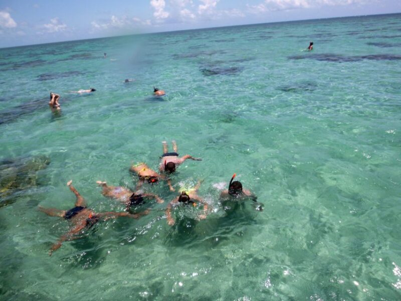 Natal: Perobas and Punau Beach Day Trip With Snorkeling - Highlights