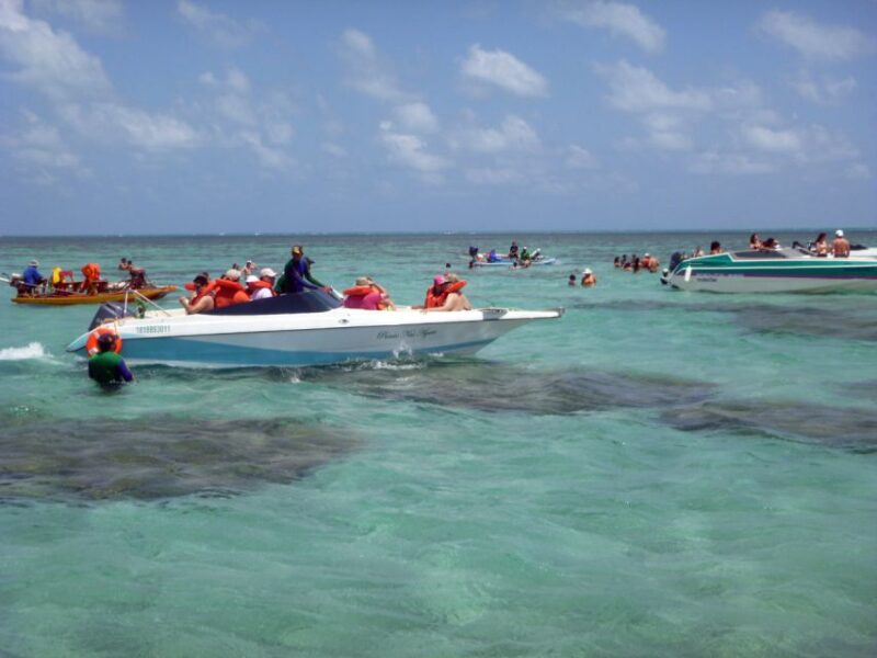 Natal: Perobas and Punau Beach Day Trip With Snorkeling - Inclusions