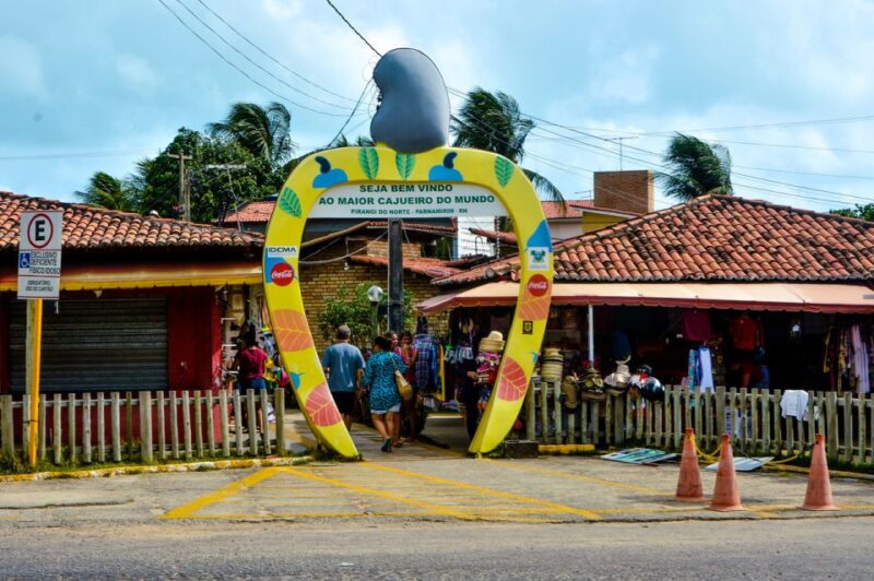 Natal: South Coast and Arituba Lagoon Tour - Pirangi Do Norte