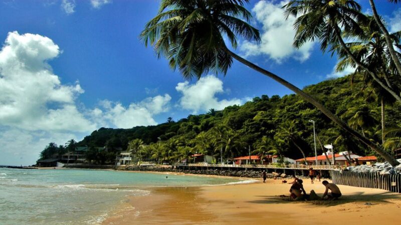 Natal: South Coast Day Tour by 4X4 With Pickup - Key Points