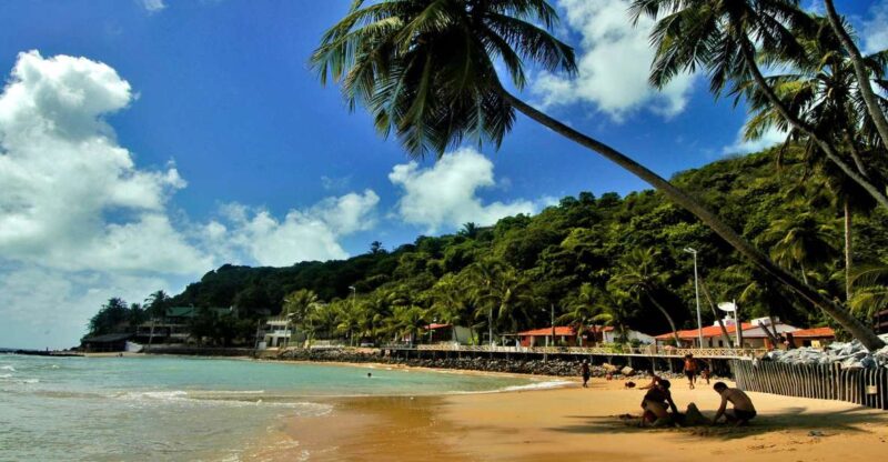 Natal: South Coast Day Tour by 4X4 With Pickup - Visiting the Cashew Tree
