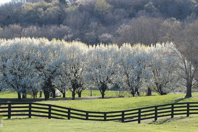 Natchez Trace Parkway Self-Guided Driving Audio Tour - Cancellation Policy and Flexibility