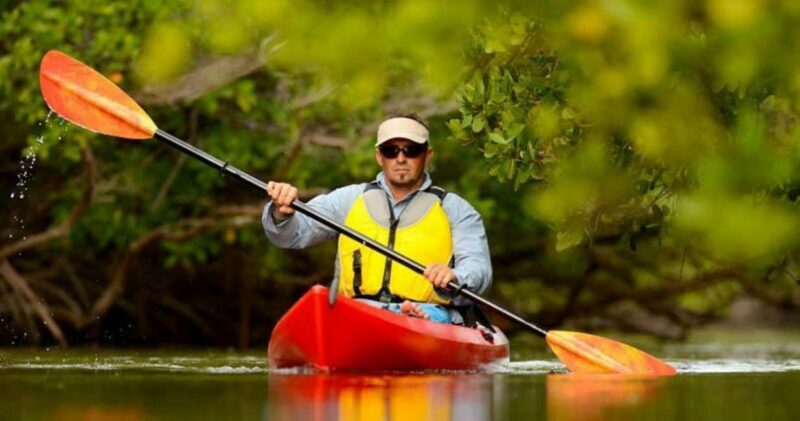 Natick: Lake Cochituate Single or Tandem Kayak Rental - Final Thoughts: The Value and Appeal