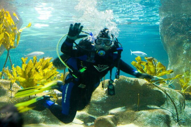 National Aquarium of New Zealand in Napier General Admission - Key Points