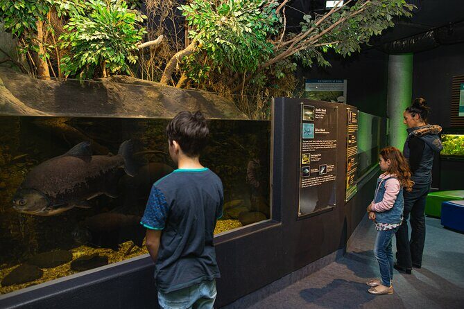 National Aquarium of New Zealand in Napier General Admission - Who Should Visit?