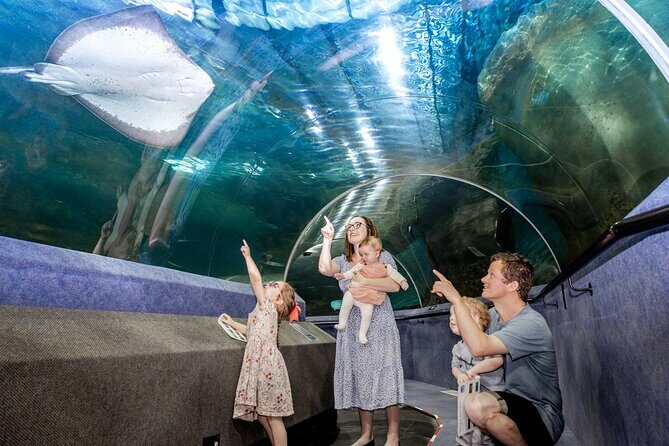 National Aquarium of New Zealand in Napier General Admission - Frequently Asked Questions (FAQs)