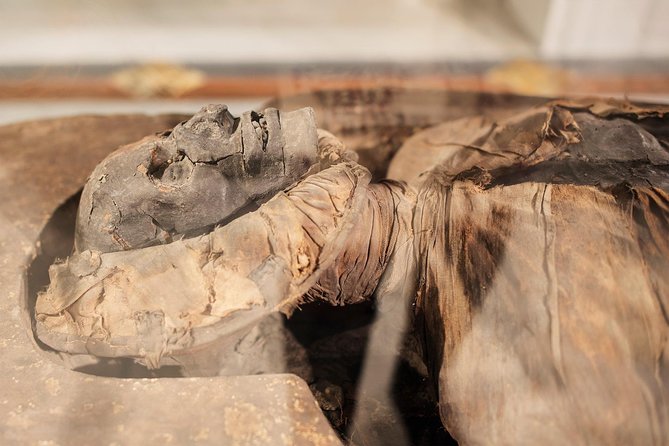 National Archaeological Museum of Naples - Pricing Details