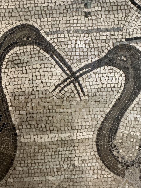 National Archaeological Museum of Naples Private Guided Tour - Inclusions