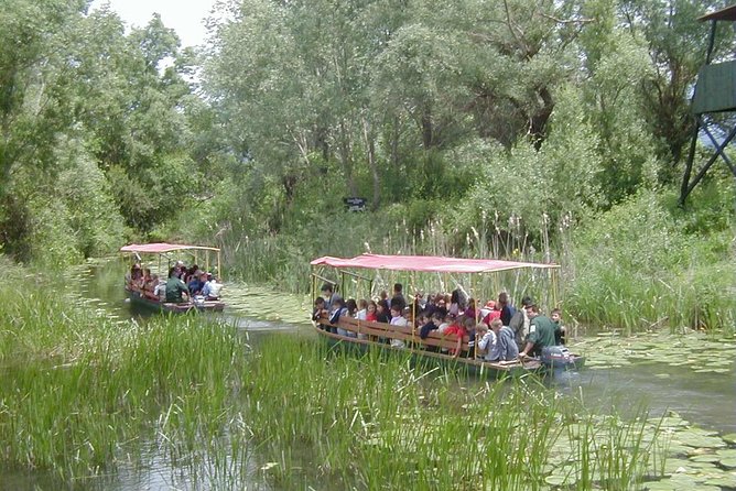 National Bird Reserve Hutovo Blato Photo Safari - Discovering Diverse Wildlife Species
