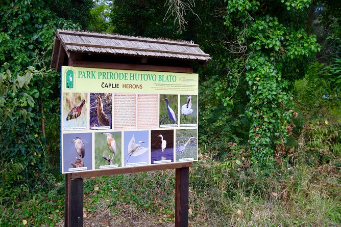 National Bird Reserve Hutovo Blato Photo Safari - Guided Tour Highlights