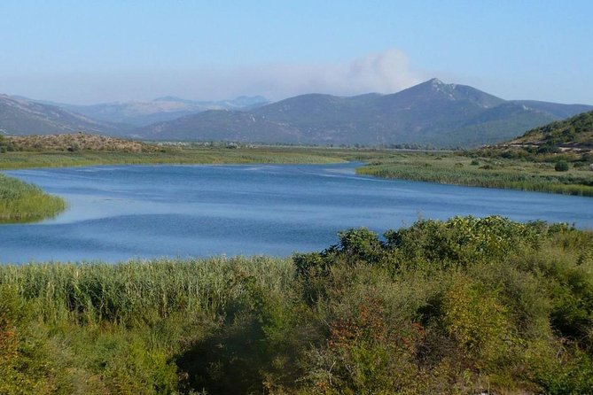 National Bird Reserve Hutovo Blato Photo Safari - Practical Information and Booking