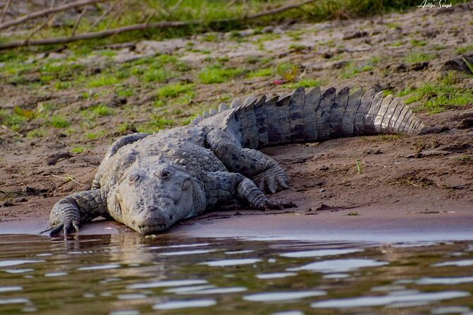 National Chambal Sanctuary With Shared River Safari & Transfers - Reviews and Ratings