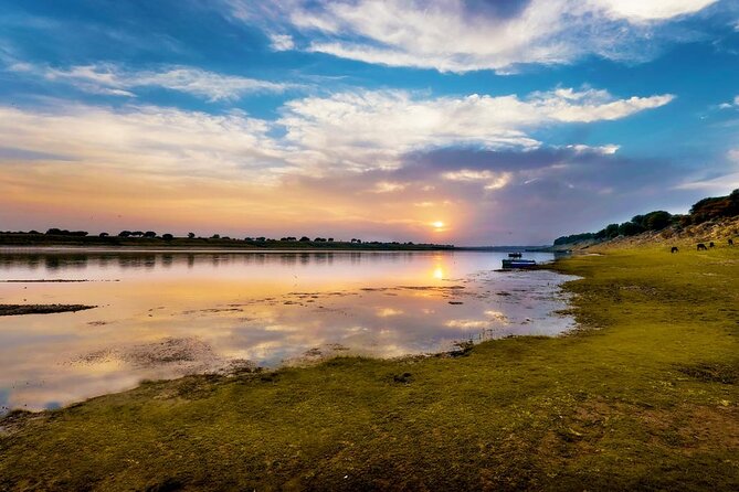 National Chambal Sanctuary With Shared River Safari & Transfers - Trip Highlights