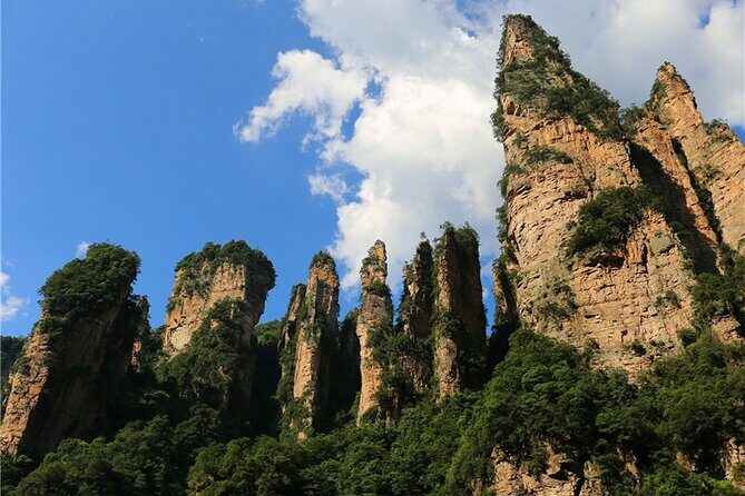 National Forest Park Avatar Mountain Day Tour - The Transportation: Comfort and Convenience