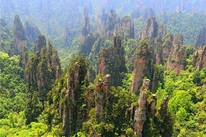 National Forest Park Avatar Mountain Day Tour - The Guides: Knowledge Makes a Difference
