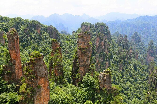 National Forest Park Avatar Mountain Day Tour - Authenticity and Scenic Highlights