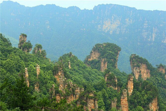 National Forest Park Avatar Mountain Day Tour - The Cost and Value