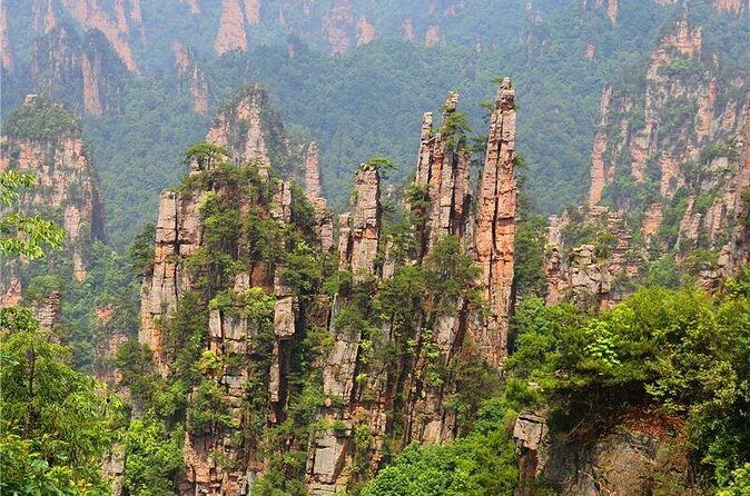 National Forest Park Avatar Mountain Day Tour - Who Will Benefit Most?