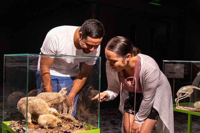 National Kiwi Hatchery - Kiwi Encounter Tour - Visitor Reviews and Feedback