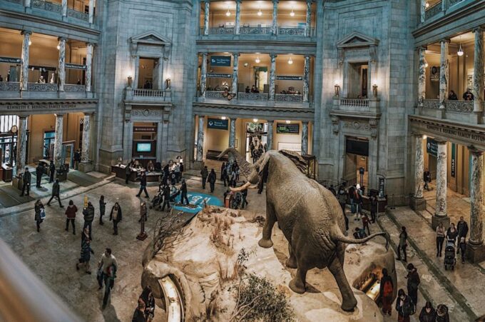 National Museum of Natural History Guided Tour - Museum Accessibility
