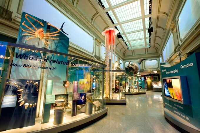 National Museum of Natural History Guided Tour - Tour Duration and Pricing