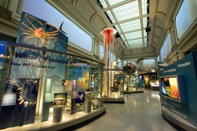 National Museum of Natural History Guided Tour - Group Tour Options