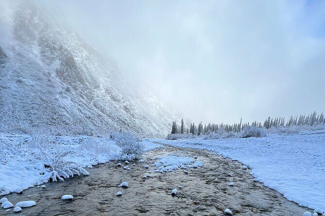 National park Ala-Archa & Chunkurchak ski base resort - Who Would Enjoy This Tour?