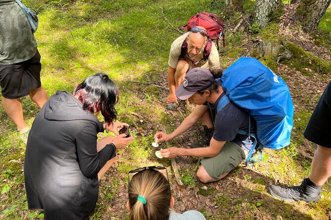 National Park Hike & Finnish Smoke Sauna Experience With Campfire Lunch - Booking and Cancellation Policy