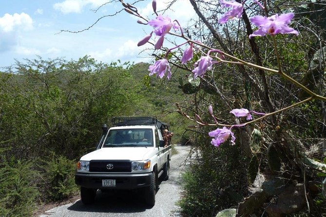 National Park Jeep Safari - Traveler Restrictions and Recommendations
