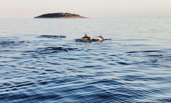 National Park Kornati - Pricing and Cancellation Policy