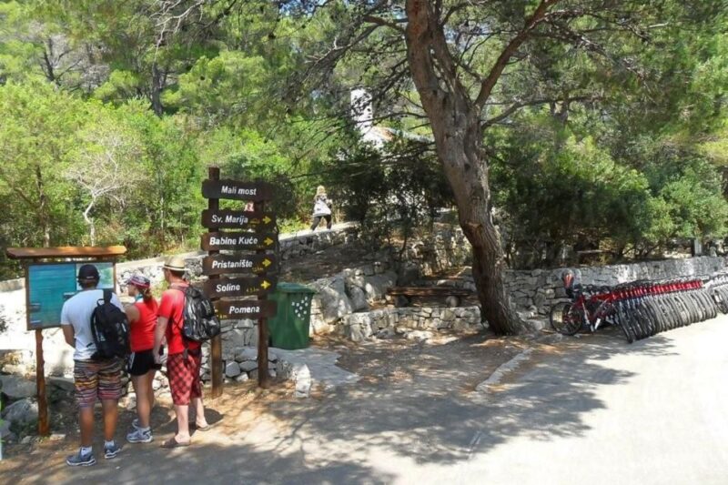 National Park Mljet Island Day Trip From Dubrovnik - Accessibility and Mobility