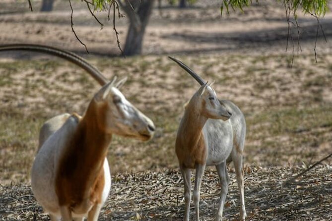 National Park Privat Safari Tour From Agadir and Taghazout - Diverse Ecosystems Explored