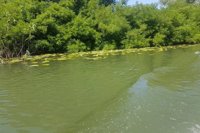 National Park Skadar Lake (Private Tour) - Personalized Experience