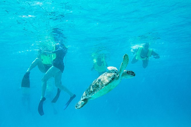 National Park Snorkeling Excursion - Overview and Experience