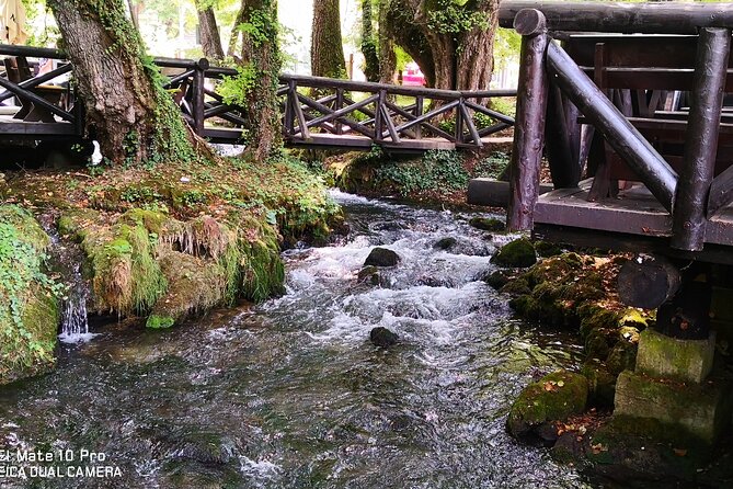 National Park Tara: House on Drina River, Banjska Stena View Point & Wooden Town - Inclusions