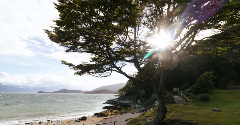 National Park Tierra Del Fuego - Itinerary and Experience