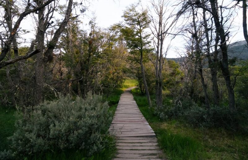 National Park Tierra Del Fuego - Guide and Language