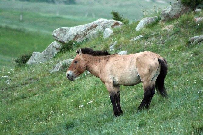 National Parks Excursion - Cultural Immersion