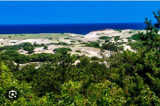 National Seashore Tour With Guided Hike - Driving Part of the Tour
